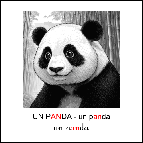 panda